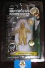 1 Of 100 Ruthless Aggression Hornswoggle Ivory Editi 38